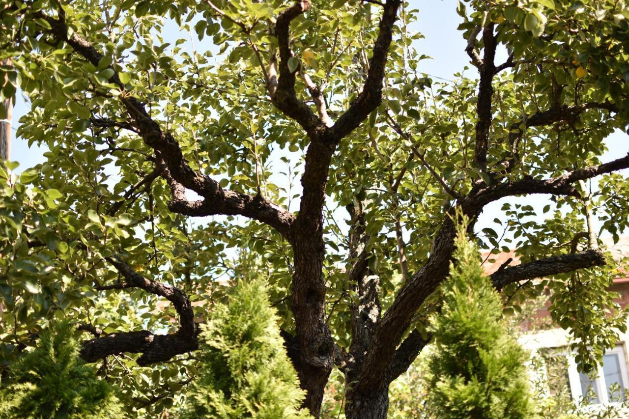 Konak Garavi Sokak Kursumlija Ngoại thất bức ảnh